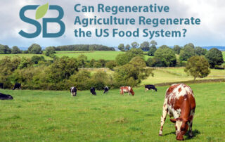 THE NEXT ECONOMY Can Regenerative Agriculture Regenerate the US Food System?